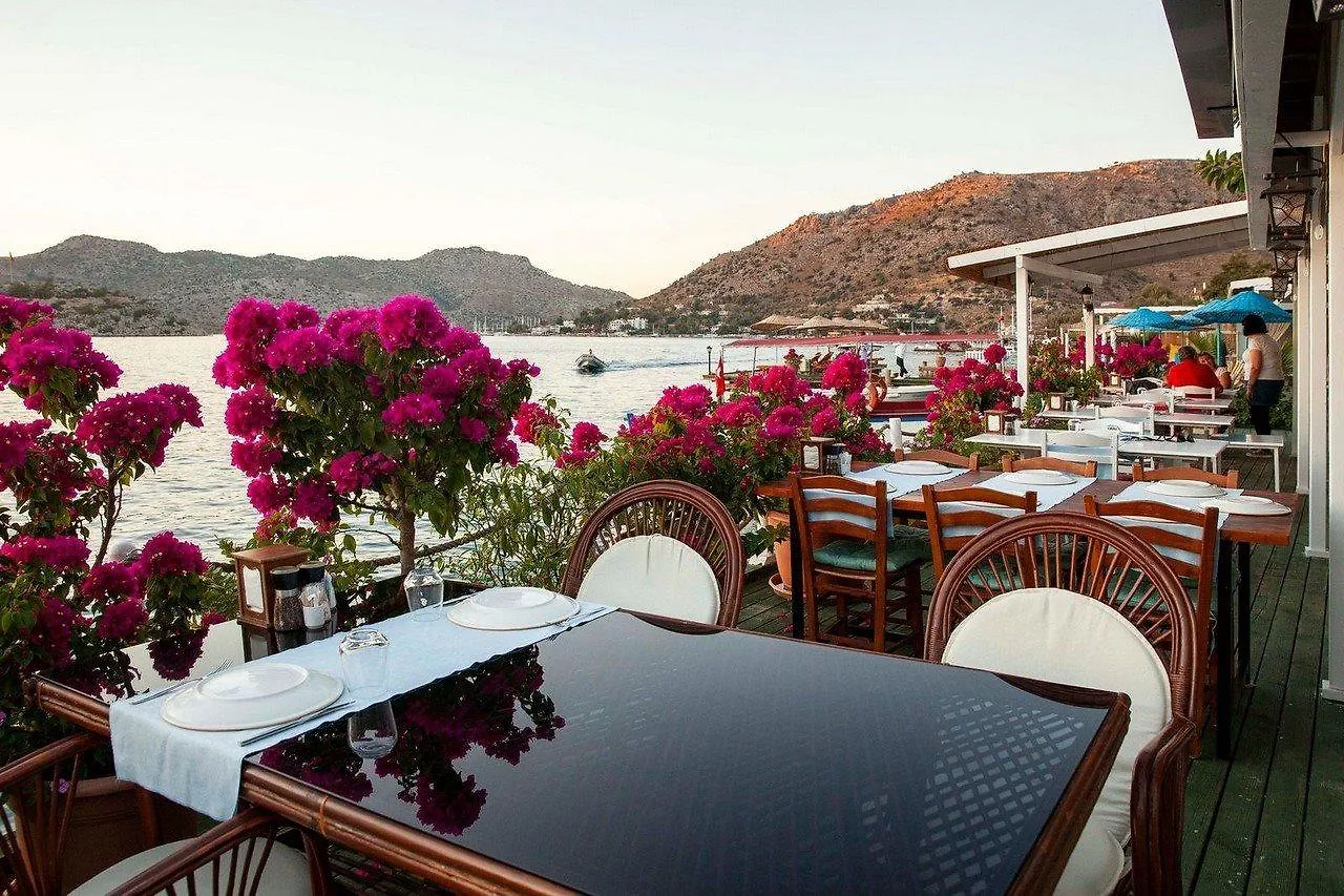 Aphrodite Hotel Selimiye  3*, Selimiye (Aegean)