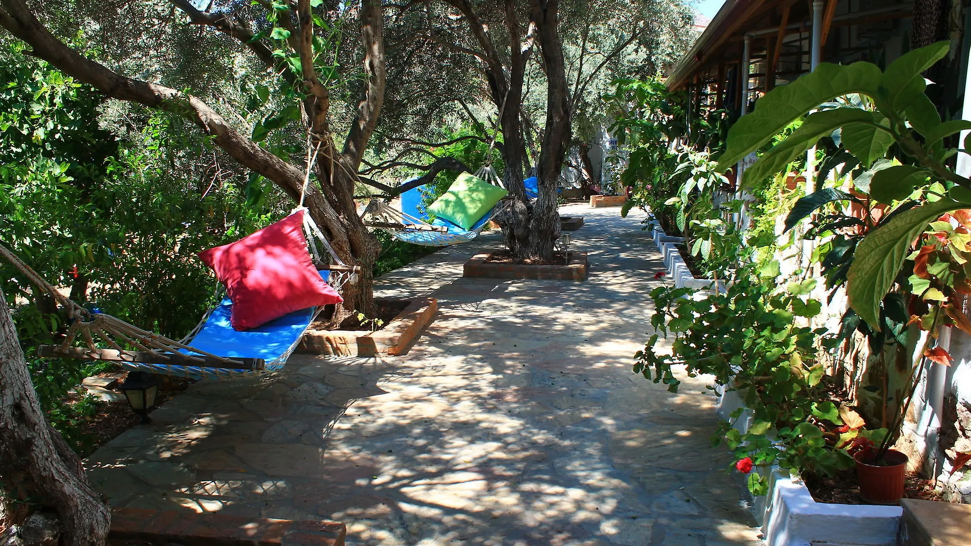 Aphrodite Hotel Selimiye  Turchia
