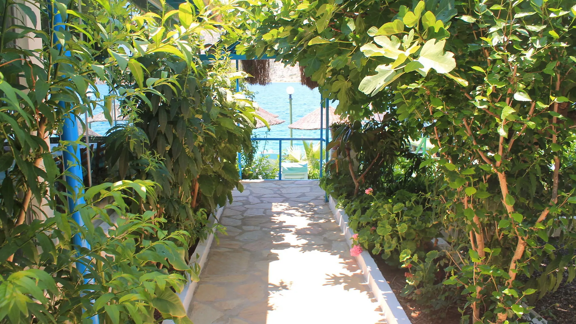 Aphrodite Hotel Selimiye   Selimiye (Aegean)